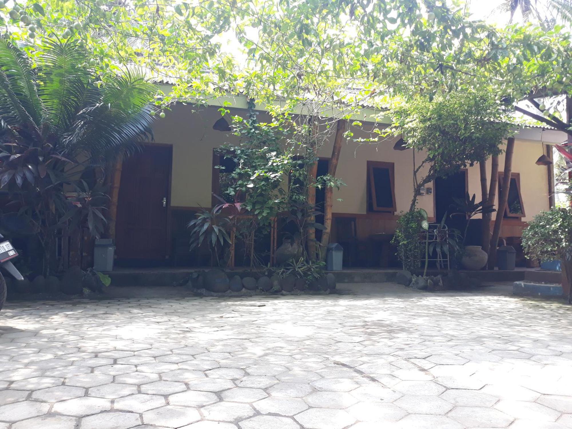 Big Daddy'S Surfcamp Apartman Pasanggaran Kültér fotó